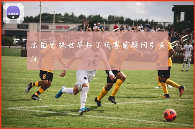 法国晋级世界杯了吗赛前疑问引关注