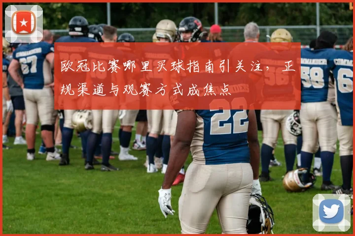 欧冠比赛哪里买球指南引关注，正规渠道与观赛方式成焦点