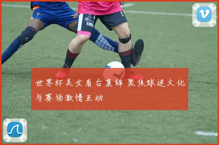 世界杯美女看台集锦 聚焦球迷文化与赛场激情互动