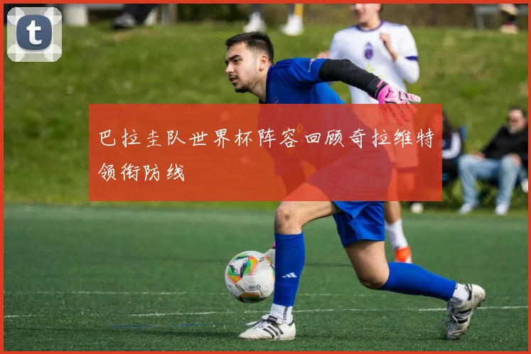 巴拉圭队世界杯阵容回顾奇拉维特领衔防线