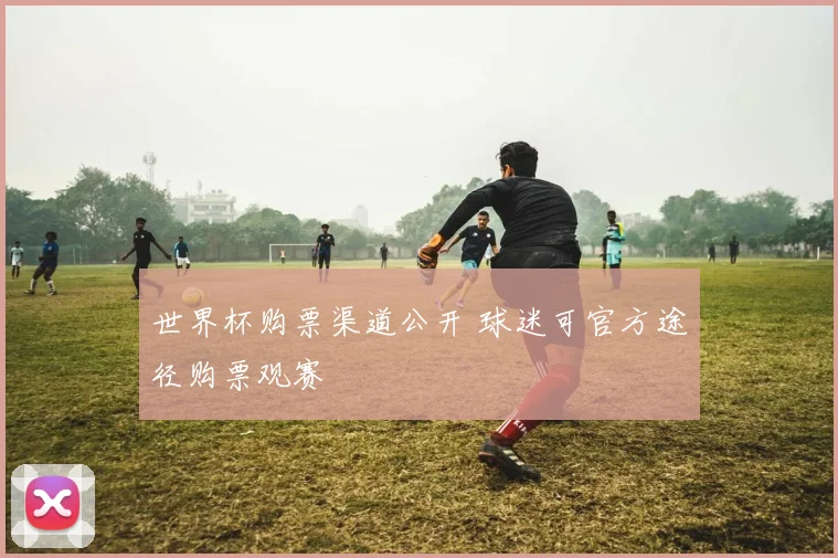 世界杯购票渠道公开 球迷可官方途径购票观赛